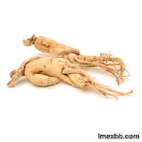 Ginseng Root Extract