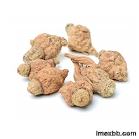 Maca Root Extract