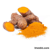 Turmeric Extract