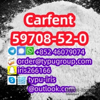 Good quality Carfent cas 59708-52-0 low sale price huge stock Telegram：+852