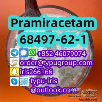 cas 68497-62-1 Pramiracetam Professional Supplier Telegram：+852 46079074