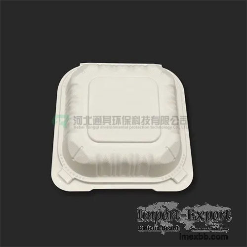 1000ml Disposable Burger Boxes TQ-HB02