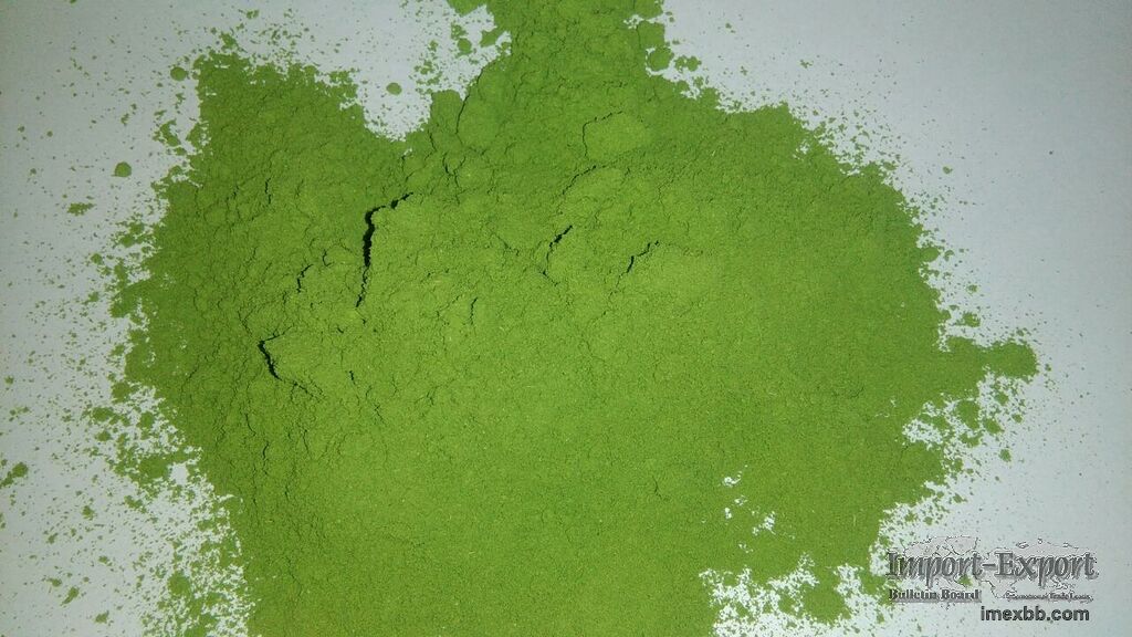 Moringa Powder