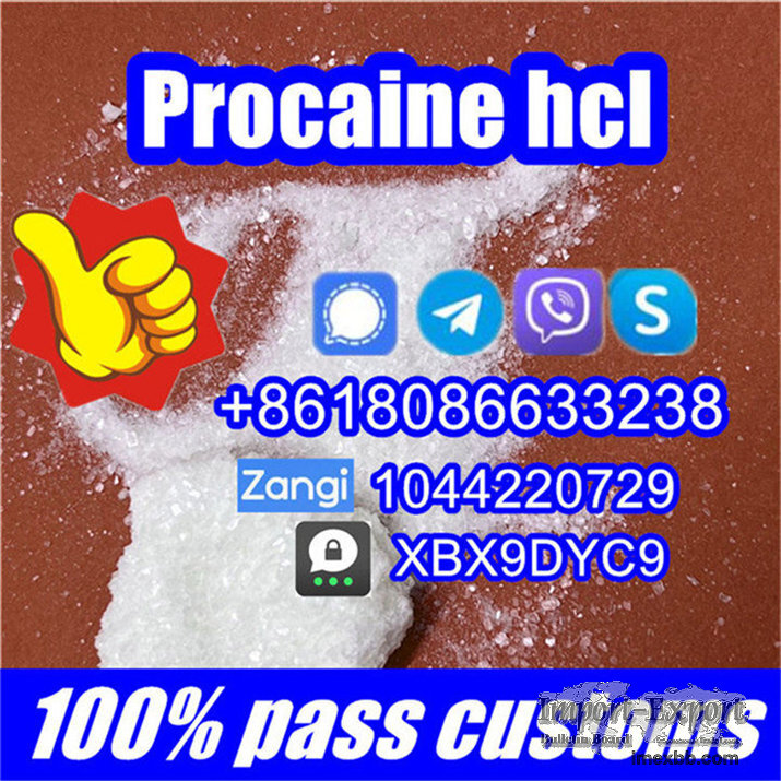 Procaine hydrochloride source factory wholesale Procaine hcl