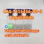 High quality cas 1415456-99-3 cagrilintide in stock