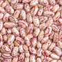 Grade 'A' Red Speckled Sugar Beans For Sale (WhatsApp +255657974759)