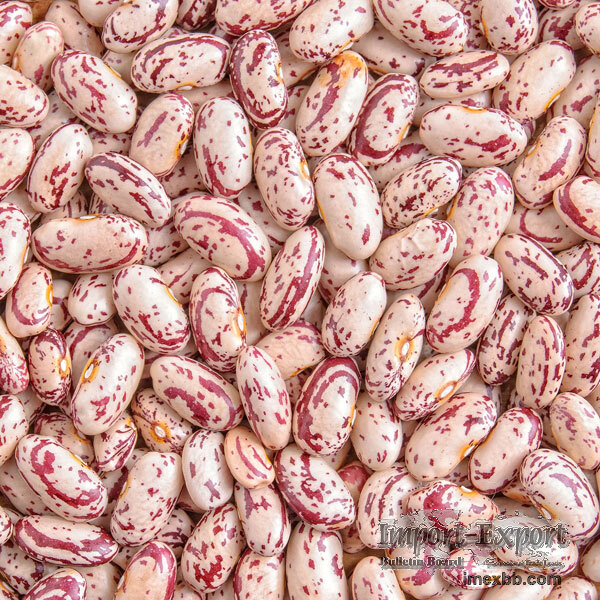 Grade 'A' Red Speckled Sugar Beans For Sale (WhatsApp +255657974759)