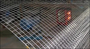 Welded Wire Mesh