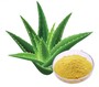 Aloe Vera Extract