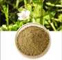 Bacopa monnieri extract