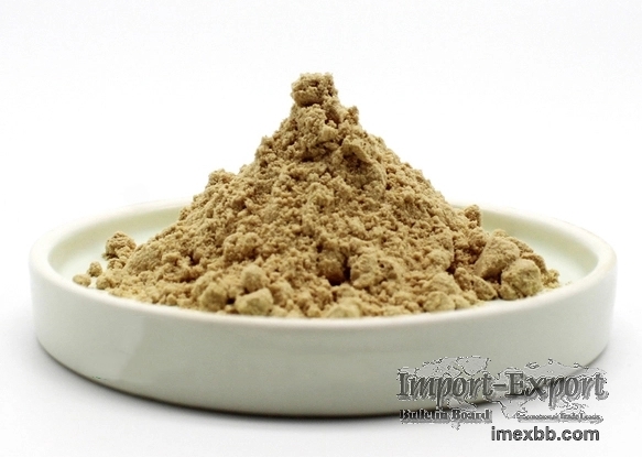 Astragalus extract