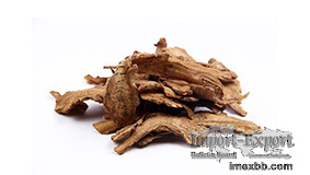 Angelica sinensis extract