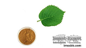 Mulberry leaf extract