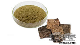 Eucommia eucommia extract