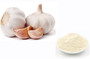 Garlic extract