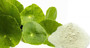  Centella asiatica extract