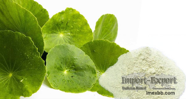  Centella asiatica extract