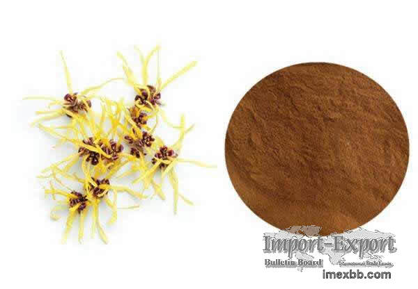 Witch hazel extract