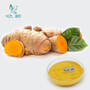 Organic Curcumin Extract