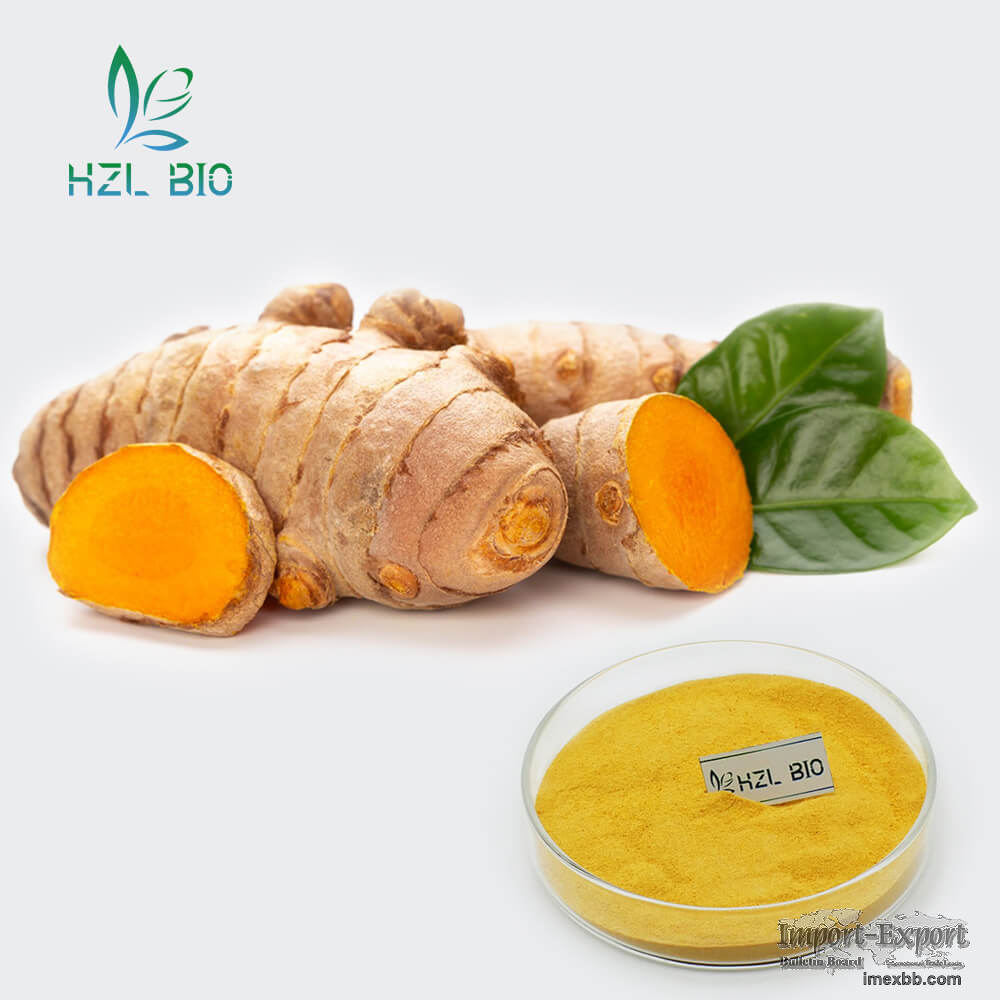 Organic Curcumin Extract