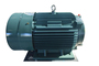 YE3 Series High Efficiency Three-Phase Asynchronous Motor 30KW-4