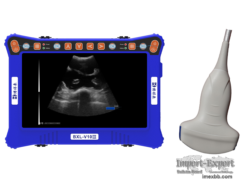 portable veterinary ultrasound equipment BXL-V10Ⅲ