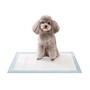 Dog Pee Pad Leak Proof Toilet Potty Training Pads Transparent Packaging