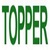 China Topper Control Valves Manufacturer Co., Ltd. Logo